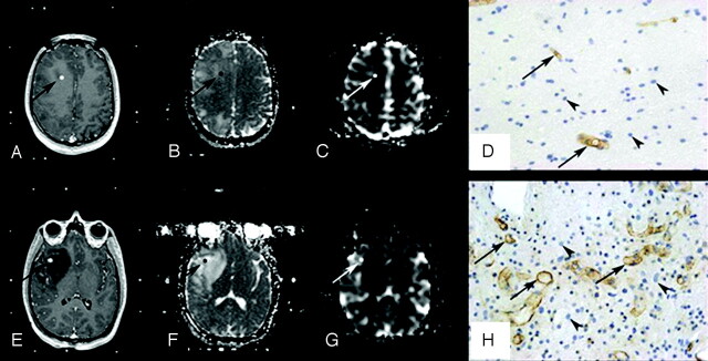 Fig 1.