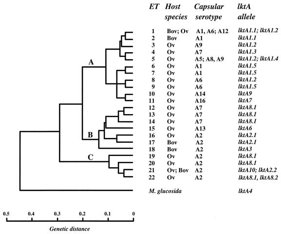 FIG. 1