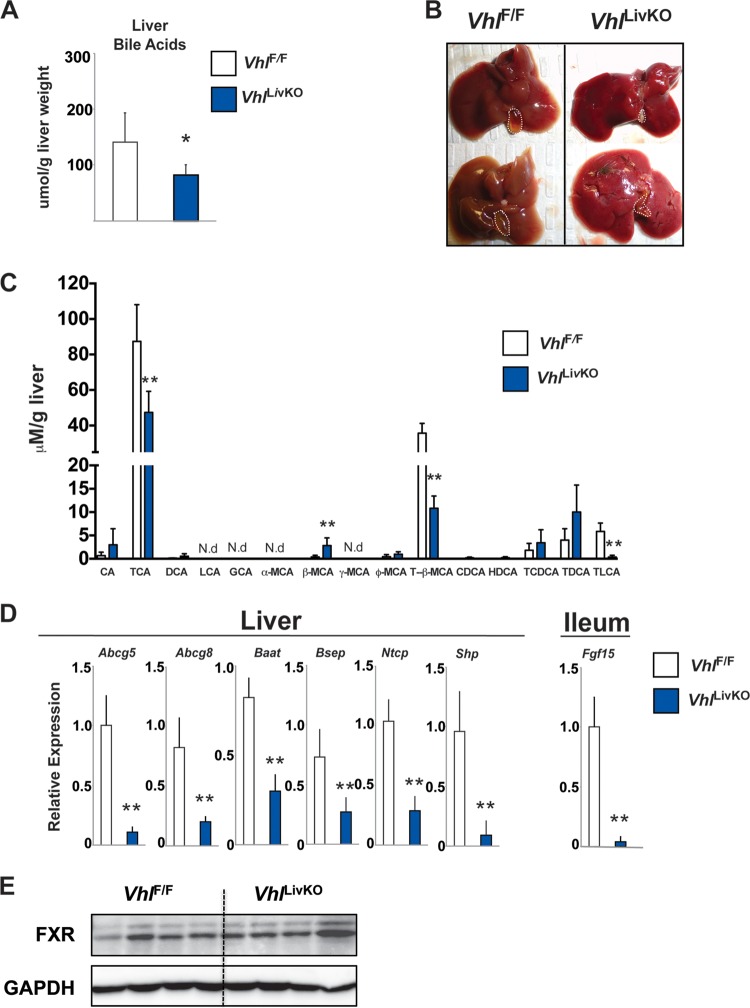 FIG 6