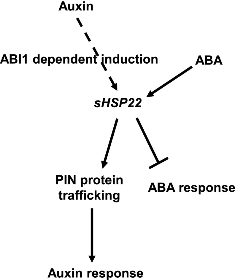 Figure 12.