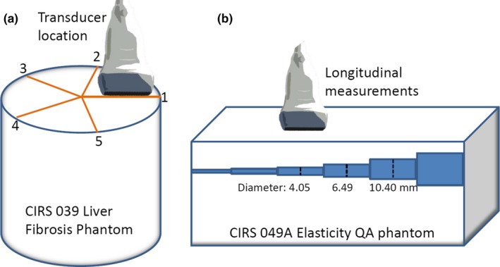 Clinical Acceptance Testing And Scanner Comparison Of Ultrasound Shear 