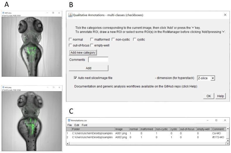 Figure 2. 