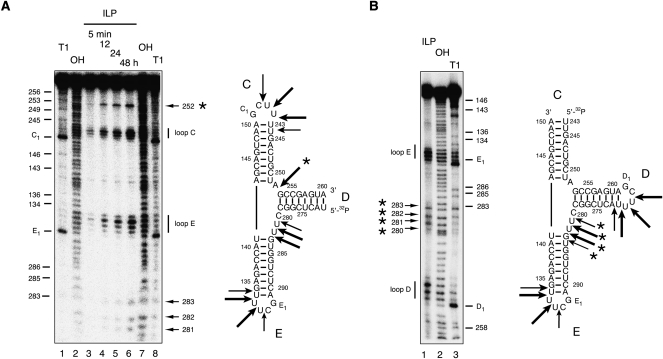 FIGURE 7.