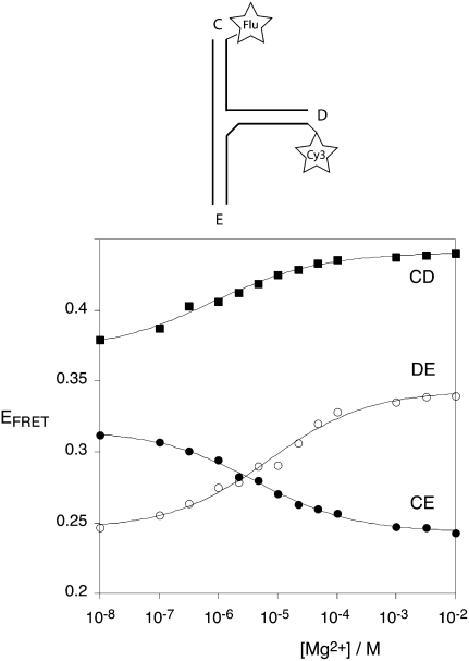 FIGURE 4.