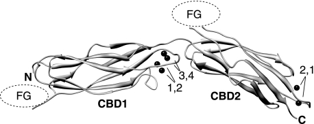 FIGURE 1.