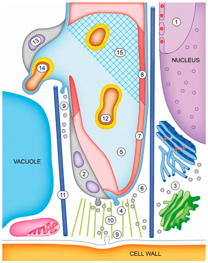 Figure 6