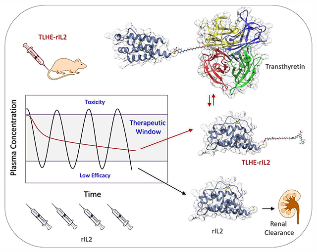 graphic file with name nihms-1844720-f0007.jpg