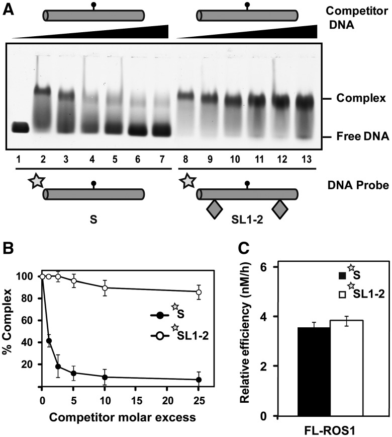 Figure 5.