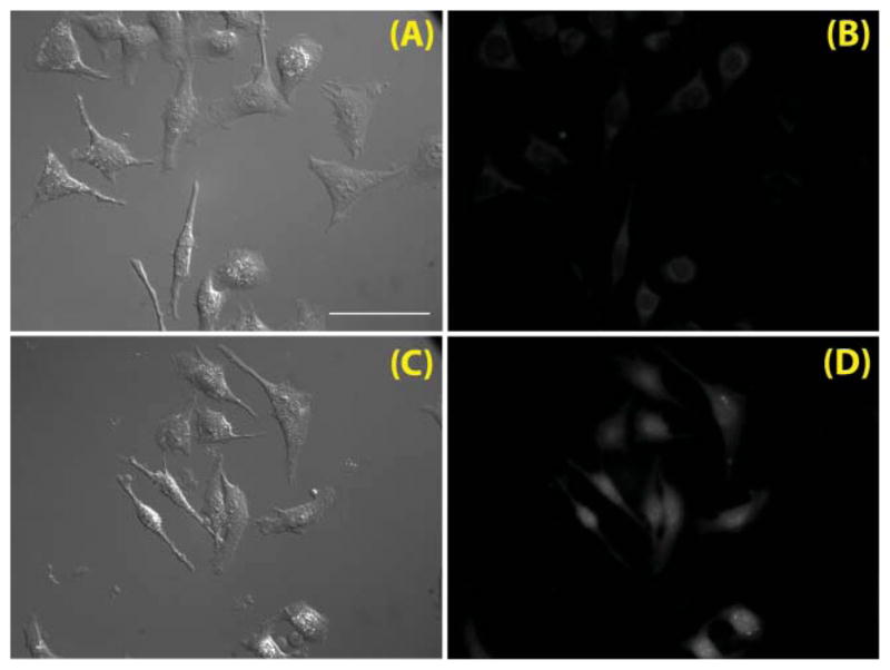 Fig. 11