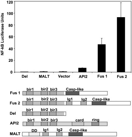 Fig. 2.