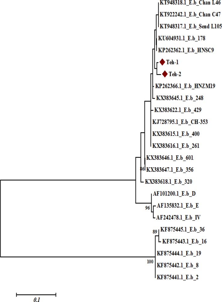 Fig. 3: