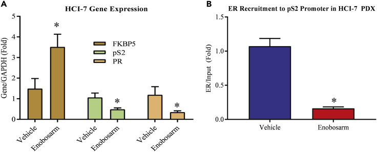 Figure 6