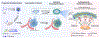 Schema 1.
