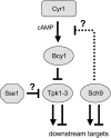 F<sc>igure</sc> 9.—