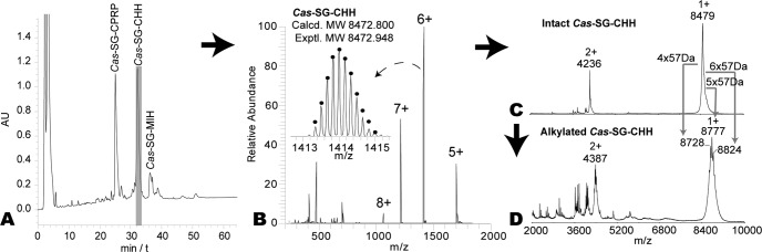 Fig. 2.