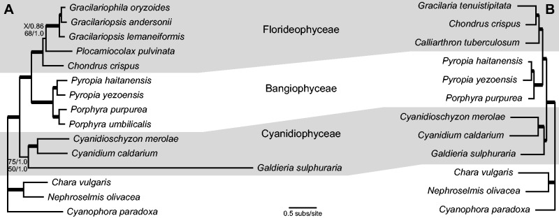 Fig. 7.—