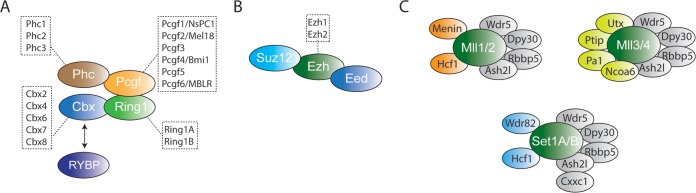 FIG 2