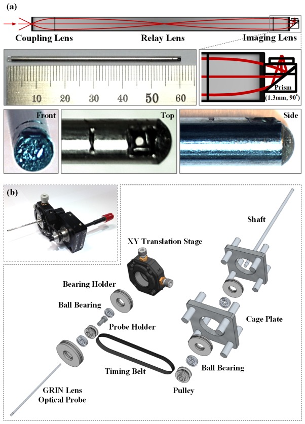 Fig. 1