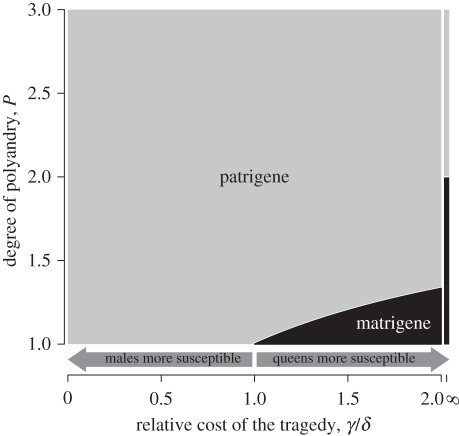 Figure 2.