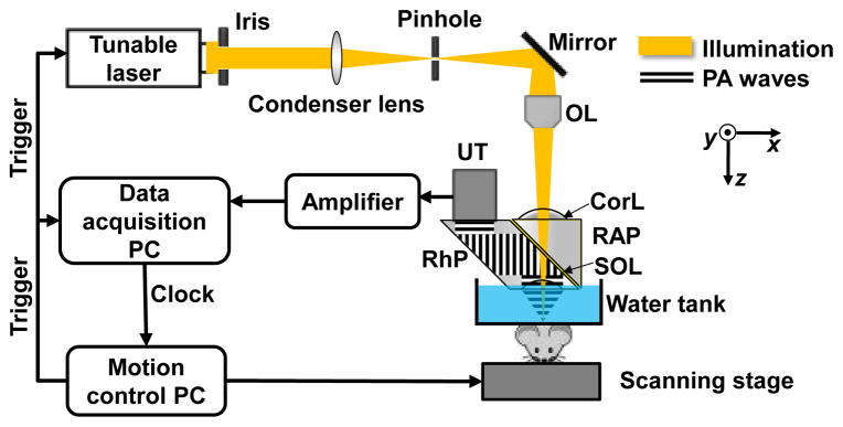 Fig. 1