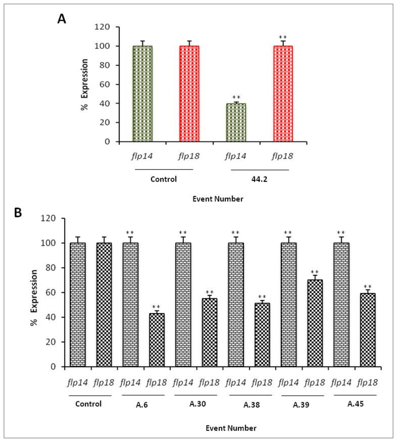 Figure 10