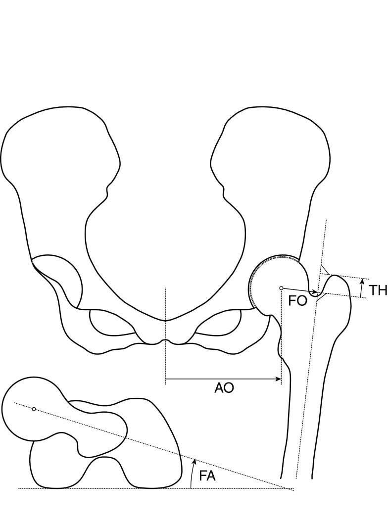 Fig. 1