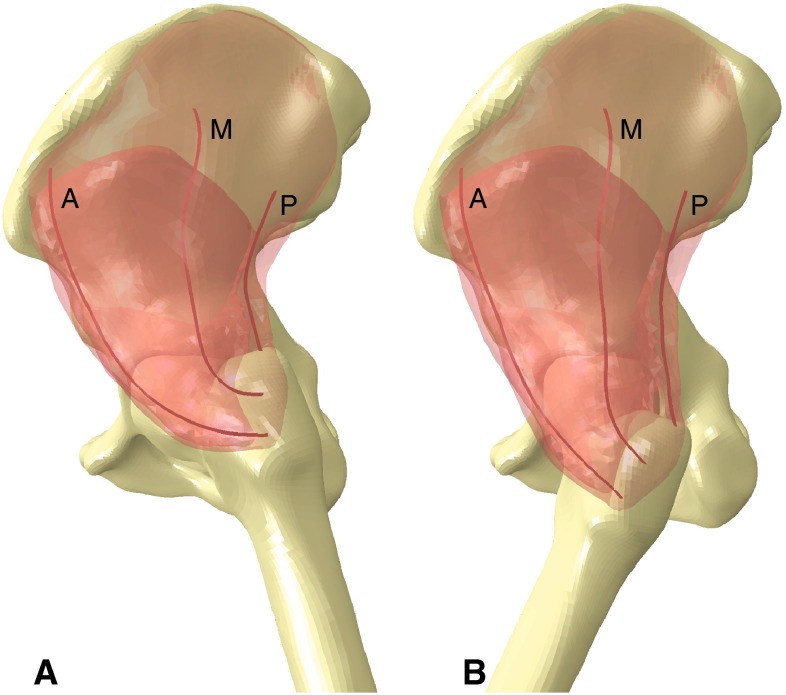 Fig. 2A–B