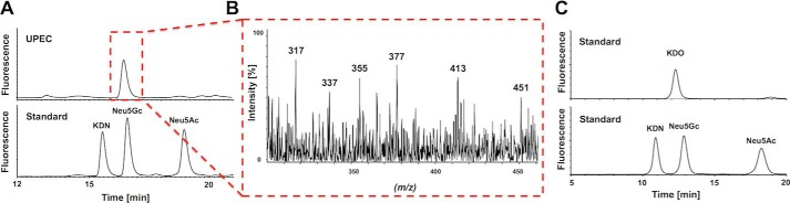 FIGURE 4.