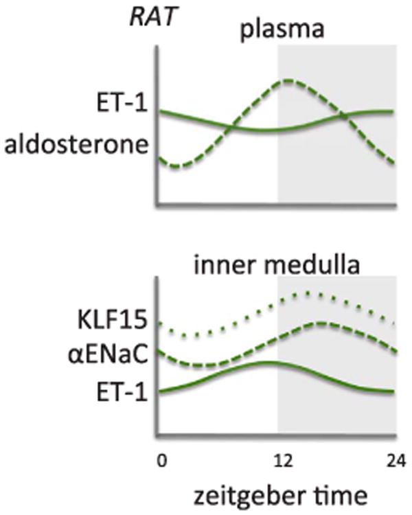 Fig. 5