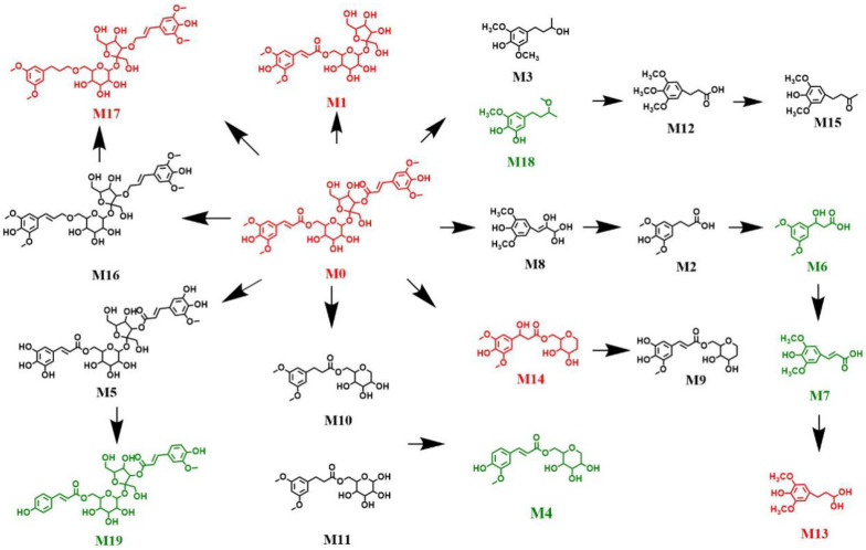 Figure 7