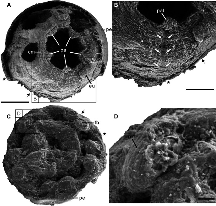 Figure 2—figure supplement 1.