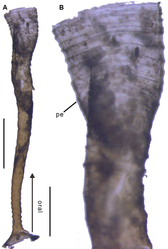 Figure 1—figure supplement 3.