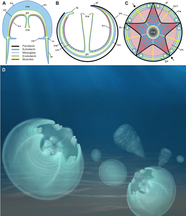 Figure 3.