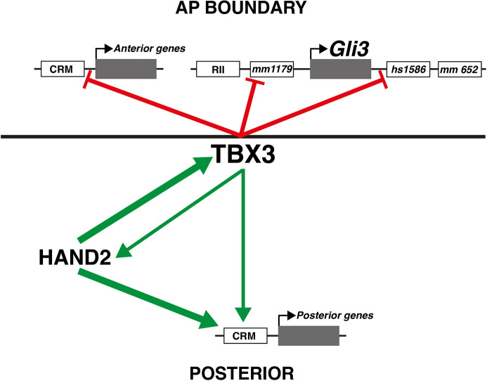 Fig. 8.