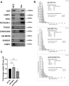 Figure 1—figure supplement 2.