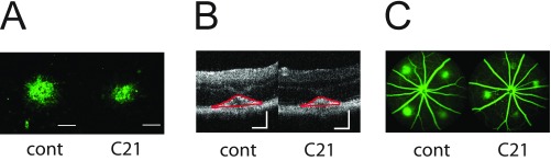 Fig. S5.