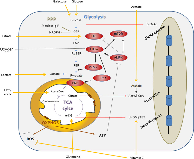 Fig. 3