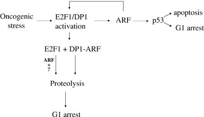 FIG. 9.