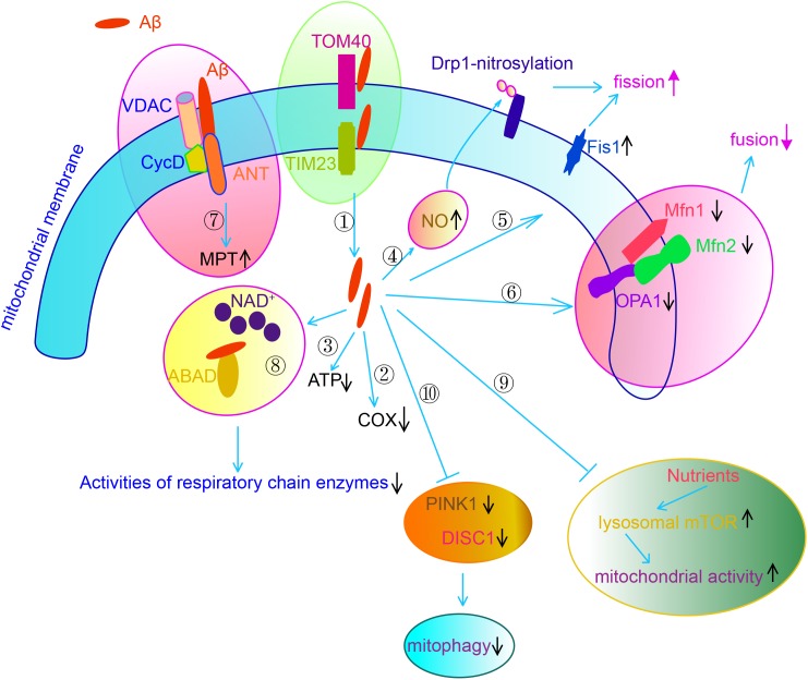 FIGURE 3