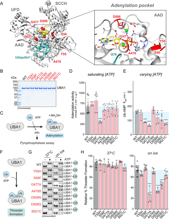 Figure 2: