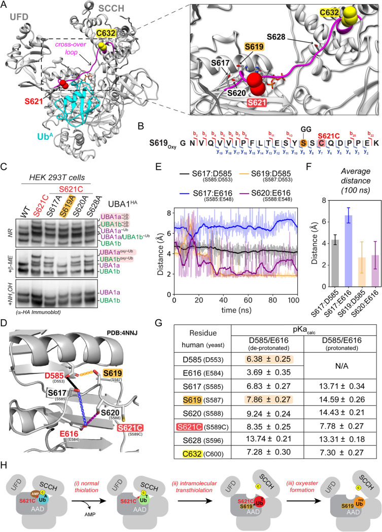 Figure 4: