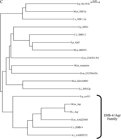 Figure 1.—