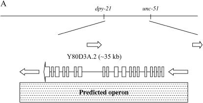 Figure 1.—