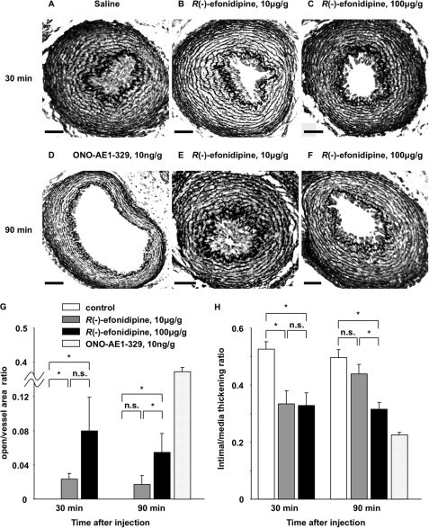 FIGURE 9.