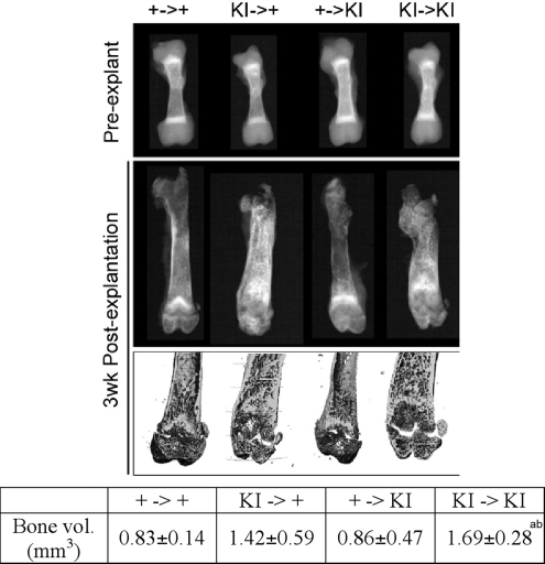 Figure 4.