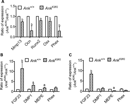 Figure 3.