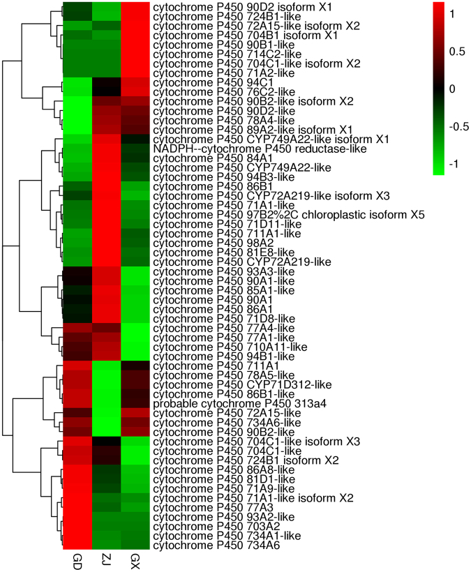 Figure 10