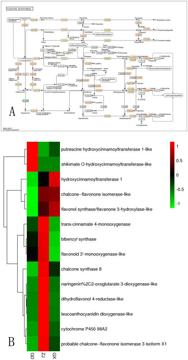 Figure 7