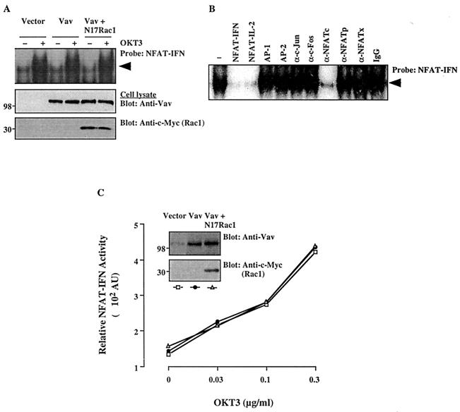 FIG. 3