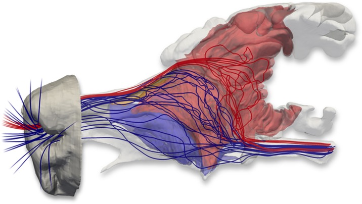 Fig. 7.